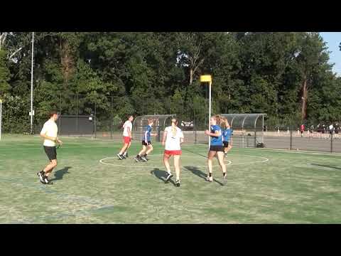 Albatros C1 - Nieuwerkerk C1 240621