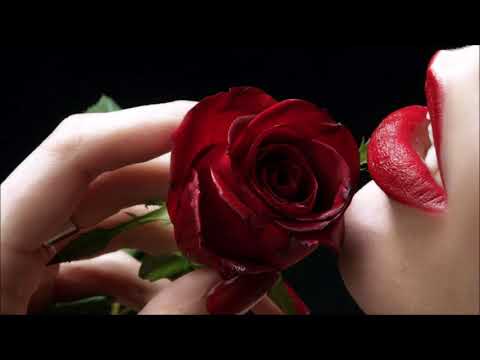 Nordlight ~ Silk & Roses