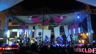 preview picture of video 'Los Reyes Del Party - TIERRA PALAS MATAS ( En Vivo Villas De Tezontepec Hdg 2013 )'