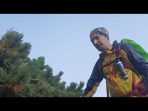 BUCSOIU - portiunea lanturilor