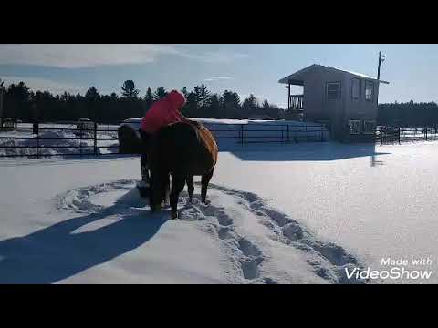 Kennedy in the snow 12/03/2019