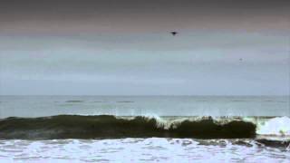 Black Light Burns - The Moment You Realize You're Going To Fall