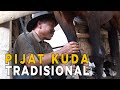 Pijat Tradisional Yang Sehat Pada Kuda JELAJAH