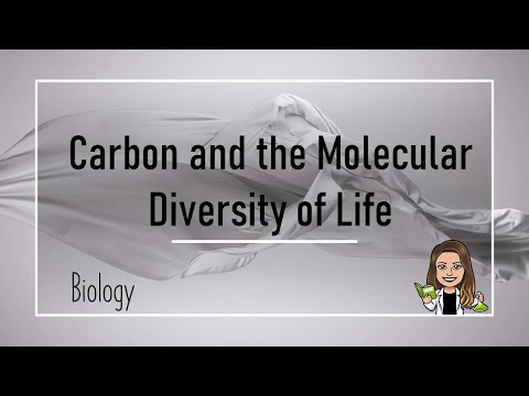 Biology: Carbon and the Molecular Diversity of Life (Ch 4)