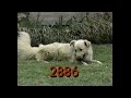 1991 Sesame Street 2886 Return From Montana WNED Buffalo
