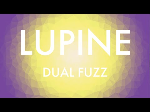 Lupine Dual Fuzz - Flower Pedals