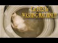 DEAD Cat In WASHING MACHINE