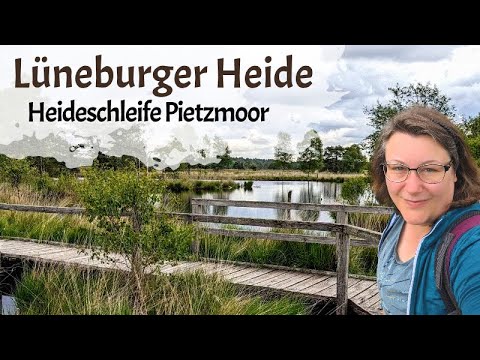 Mystische Stimmung auf der Heideschleife Pietzmoor | Lüneburger Heide | Wandern in Niedersachsen