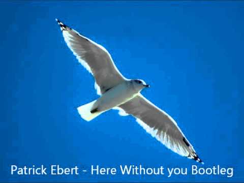 Patrick Ebert  - Here Without You Bootleg