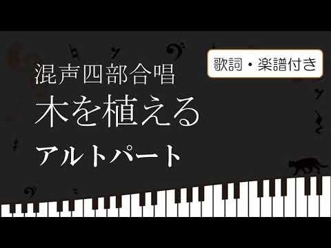 桜の石を植える – それは可能ですか? トピックス