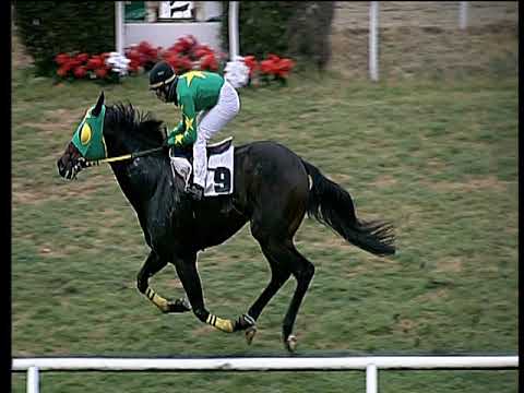 Galoppo 09/01/2019 - 2ª corsa