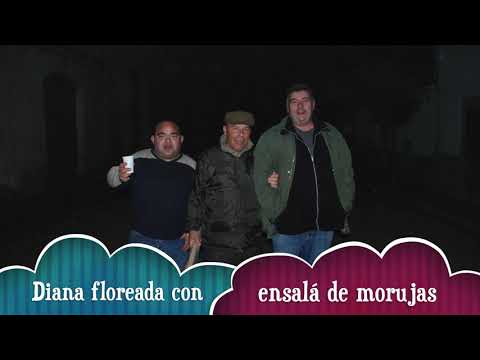 Preámbulo Sananton 2016