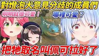 [閒聊] Miko:不然就把牠取名佩可拉吧！