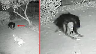 Scientists Still Cannot Explain These Disturbing Discoveries