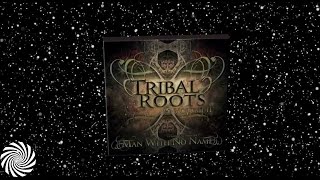 Tribal Roots Vol.2 mixed by Man With No Name - Dacru Records