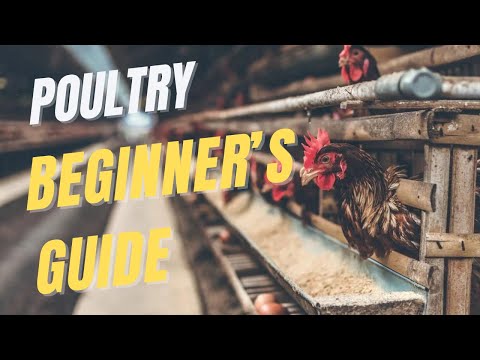 , title : 'Poultry farming full guide for beginners - The FarmGuide Sn1 E2'