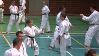 preview picture of video 'Koshinkan Karate Sommerlager des Shintaikan Karate Dojo Villingen e.V.'