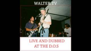 Walter TV - Waves (2010)