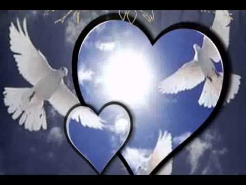 Márkus Sándor - PALOMA BLANCA