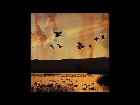 Stellar Descent - .​.​.​fading​.​.​.