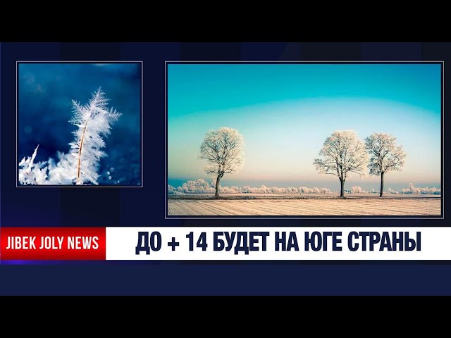 Резкое потепление до +14 ожидается на юге страны