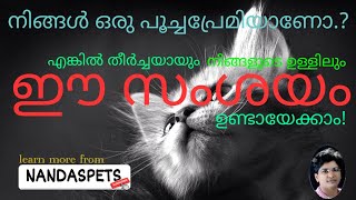 Top Remedies For Cat Care | Cat Allergy | Cat Socialization | Cat Skin Infections | NandasPets