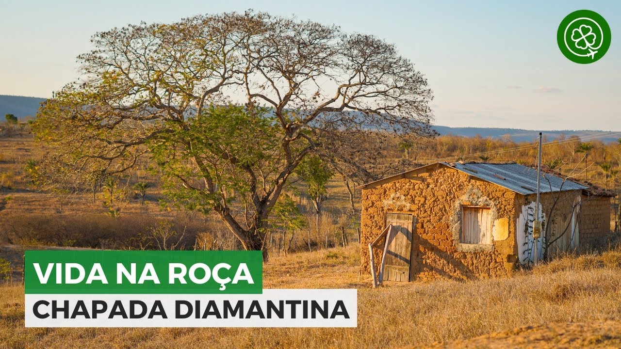 CHAPADA DIAMANTINA: Vida na roça em Barra da Estiva, Bahia!