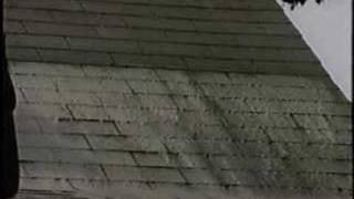 Removing Algae Stains From Roof Shingles