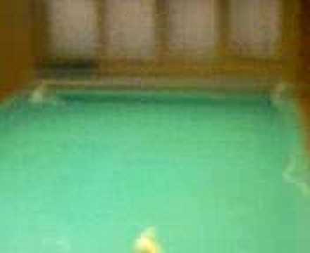 Biliardo-Lo Spaccone