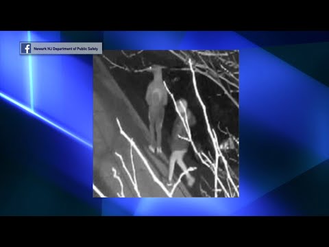 NJ Newark Police Seeking Two Carjacking Suspects
