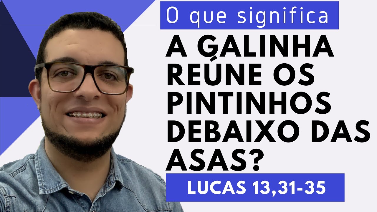 A GALINHA REÚNE OS PINTINHOS DEBAIXO DAS ASAS: O QUE ISSO SIGNIFICA? Lc 13,31-35.JOÃO CLAUDIO RUFINO