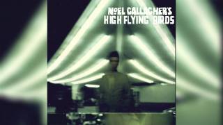 Noel Gallagher- (Stranded on) The wrong beach
