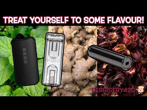 DaVinci IQC Flavor Chamber Tips: 5 Best Herbs to Try