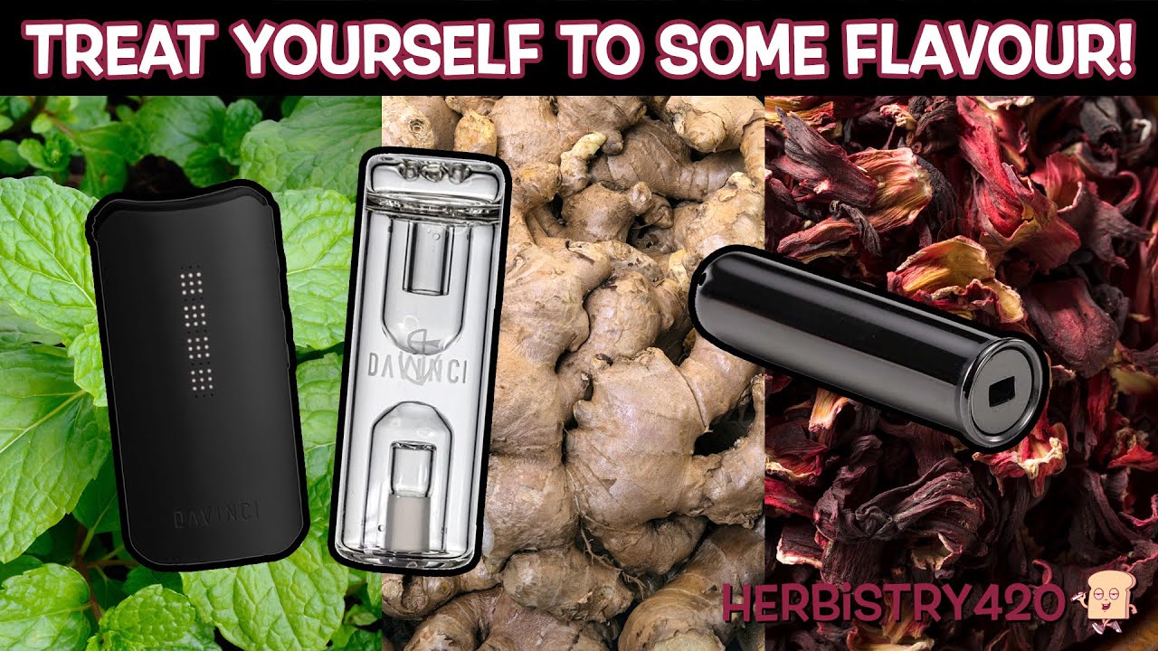 DaVinci IQC Flavor Chamber Tips: 5 Best Herbs to Try