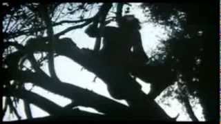 Alexandra &quot;Zigeunerjunge&quot;