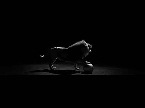 Трейлеры The Lion