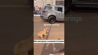 Batendo boca com os zomi