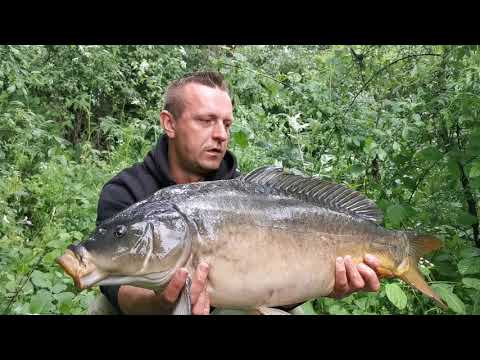 Zasiadka na nowej wodzie Pzw. 06.2020