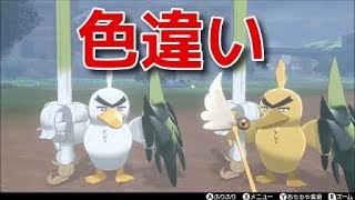 ネギガナイト ポケットモンスター バクオング ブースター カポエラー