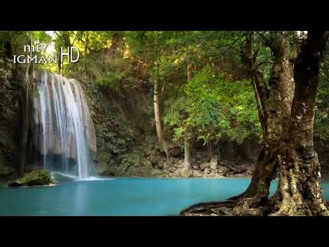 RAMAZANSKA DOVA 19. DAN - MTV IGMAN