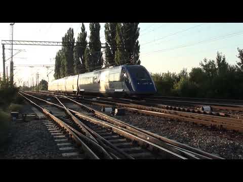 Tren Regio Calatori R16036 Brasov - Bucuresti Nord la intrare in Chitila - 18.08.2020