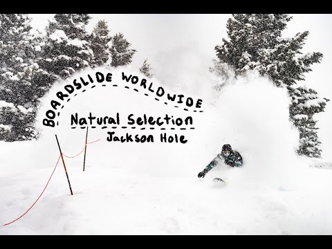 Boardslide Worldwide Natural Selection