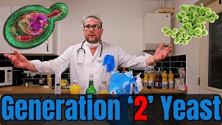 How many times can you re-use yeast for home brewing?