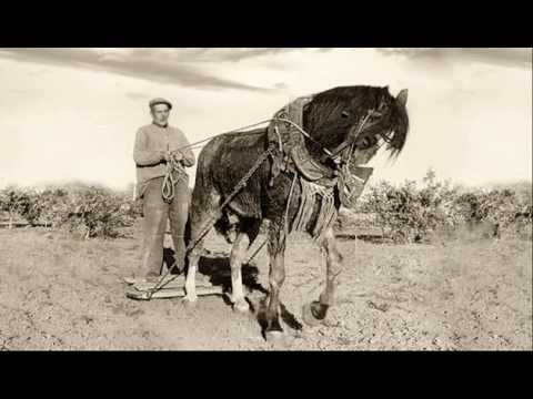 "Las espigas de oro", jota navarra en versión aragonesa