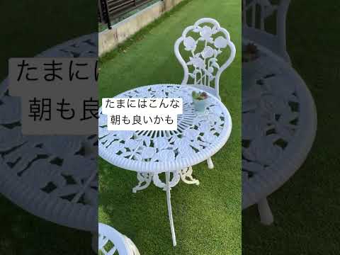 うちの犬が芝生に穴を開けるのはなぜですか?理由と解決策  庭園