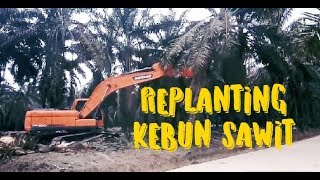 preview picture of video 'Chipping Untuk Replanting Kelepa Sawit Dan Singgah Ke Pabriknya - EWP Chanel05'