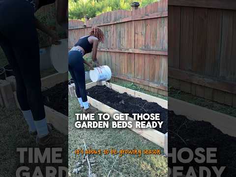 How to Start a Garden Bed With No Tools (Beginner-Friendly)