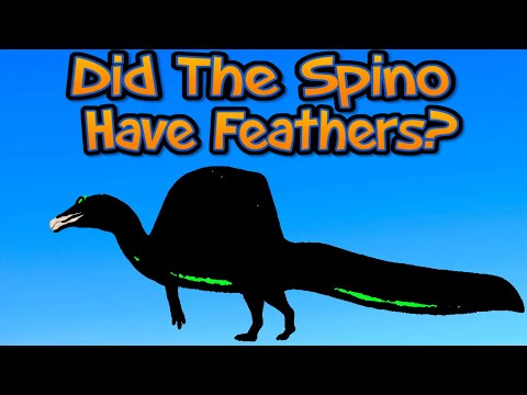 Did The Spinosaurus Have Feathers?