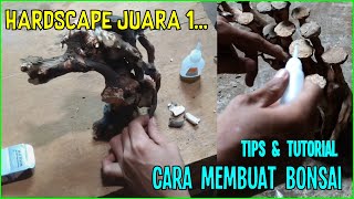 Hardscape dan Bonsai - Bersama MJB Aquatics (Juara 1 Kontes Aquascape Depok)