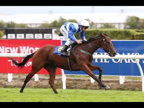 2014 Cambridge J.C. Breeders Stakes _ Te Rapa ( NZ )